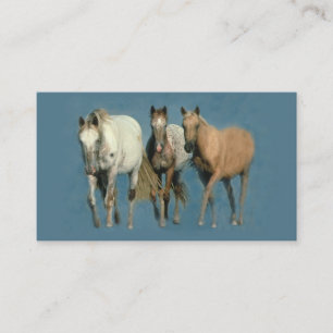 Chevaux sauvages et carte de visite merveilleux