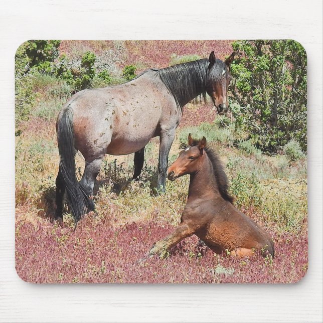 Chevaux sauvages, faune, tapis de souris (Devant)