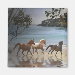 Chevaux sur la plage Magnet