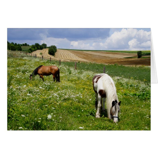 Chevaux Sur Le Terrain (Devant horizontal)