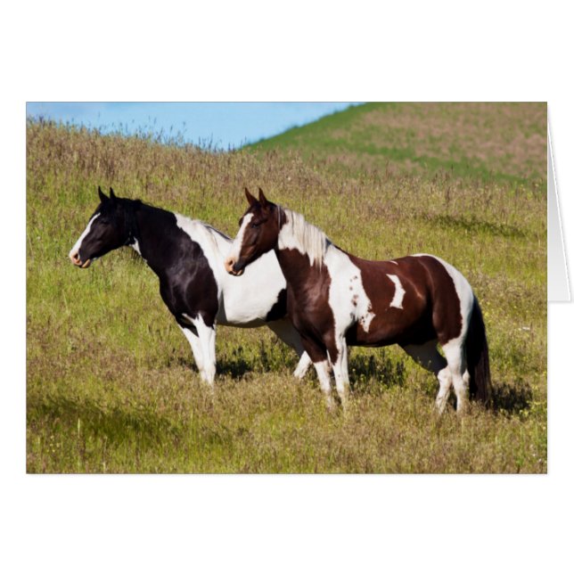 Chevaux sur le versant de la colline (Devant horizontal)