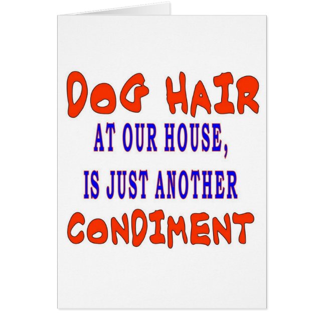 CHEVEUX DE CHIEN À NOTRE MAISON (Devant)