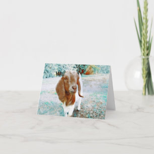Chèvre adorable à dire Bonjour - Carte blanche