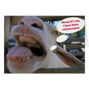 Chèvre de baie d'aubépine de Yee - cartes