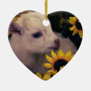CHÈVRE DE BÉBÉ EN ORNEMENT DE NOËL DE COEUR DE