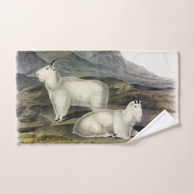 Chèvre de montagne (Capra Americana par Audubon) (Serviette à main)