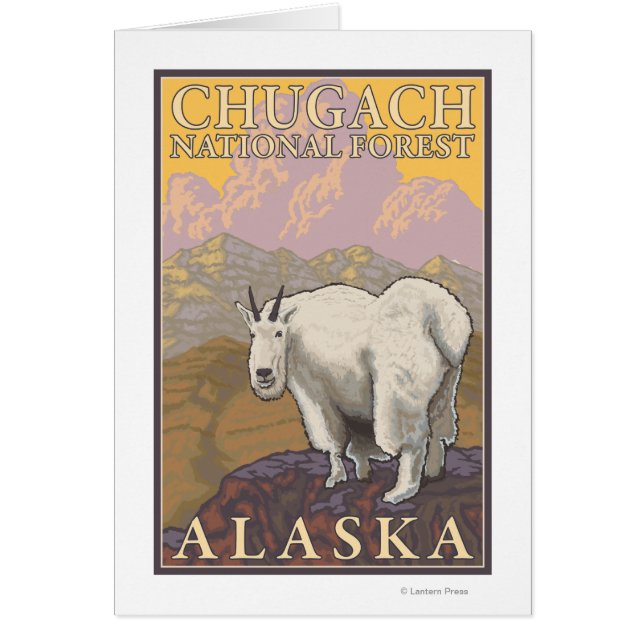 Chèvre de montagne - Forêt nationale de Chugach, (Devant)
