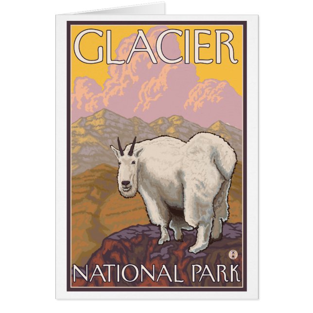 Chèvre de montagne - Parc national des Glaciers, M (Devant)