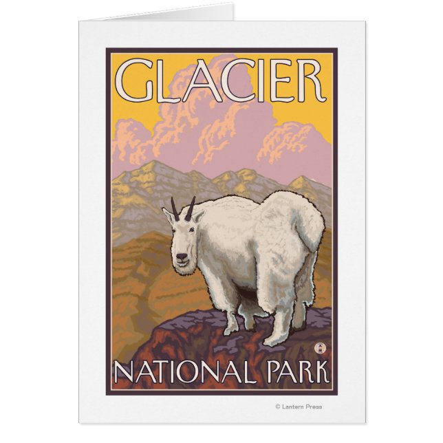 Chèvre de montagne - Parc national des Glaciers, M (Devant)