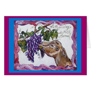 chèvre, lamancha, foi éternelle