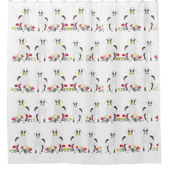 Chèvres achetées par disquette Rideau de douche (Devant)