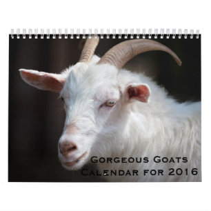 Chèvres magnifiques calendrier de 12 mois pour