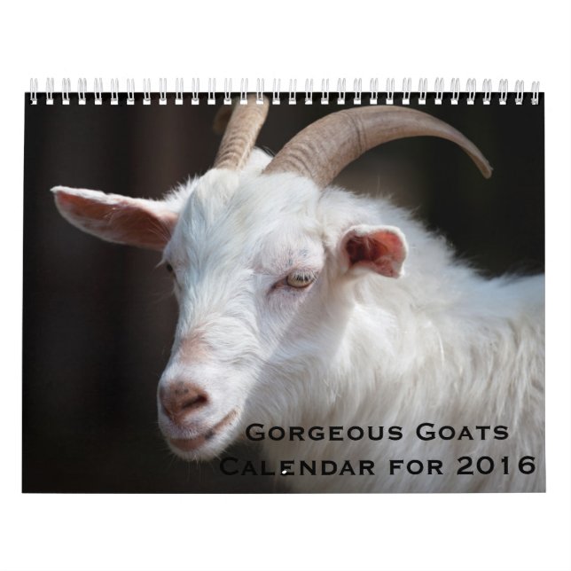 Chèvres magnifiques calendrier de 12 mois pour (Protection)