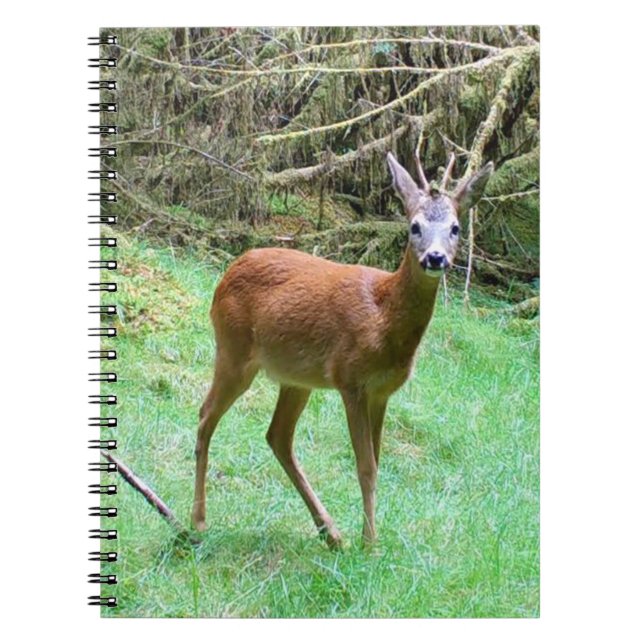 Chevreuil mâle en milieu boisé Carnet de notes sur (Devant)