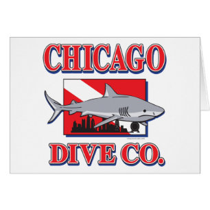 Chicago Dive