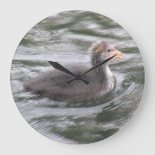 Chick au lait mignon sur l'eau bouchée Horloge