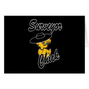 Chick de l'enquêteur no 4