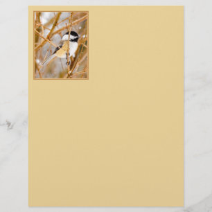 Chickadee au plafond noir - Photo originale