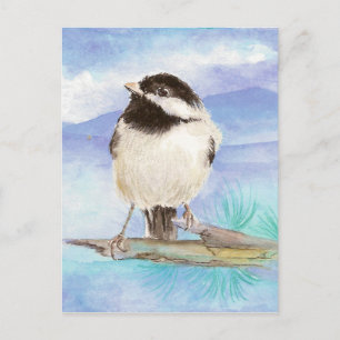 Chickadee, Oiseau, Faune, Nature, Carte postale