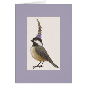 chickadee sur la lavande