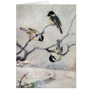 Chickadees dans la neige