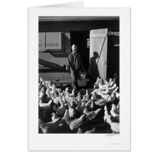 Chicken Farm Mori Nakashima 1943