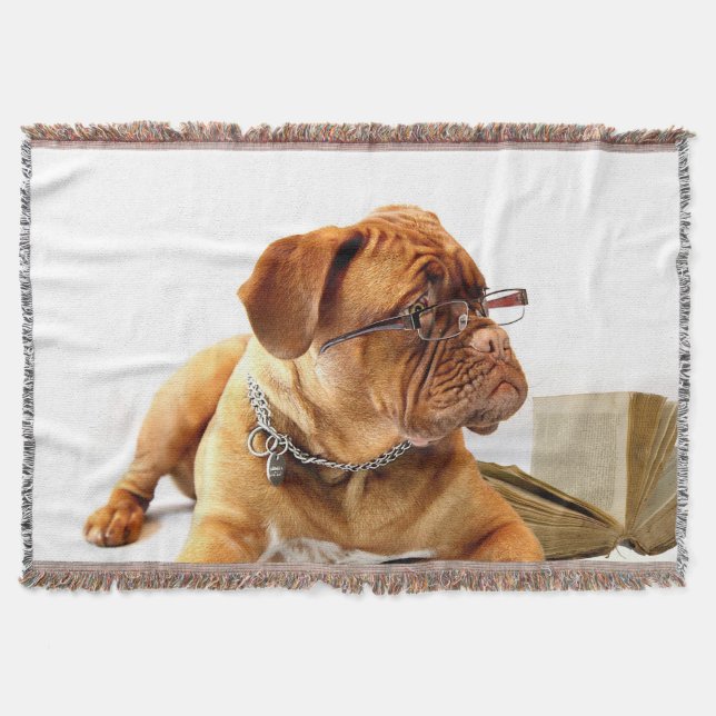 Chien 1 Lancer la couverture (Devant)
