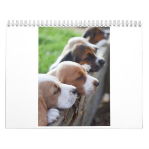 chien 2019 de basset de calendrier