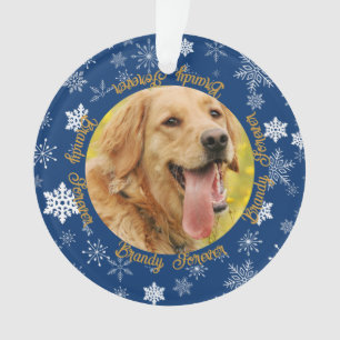 Chien 2 Photo Blue Snowflake Custom Christmas