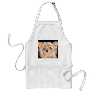 Chien 4, tablier