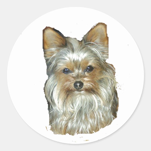 Chien 4B, Yorkshire Terrier, Stickers (Devant)