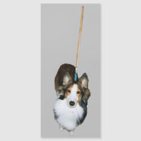 Chien à la broche