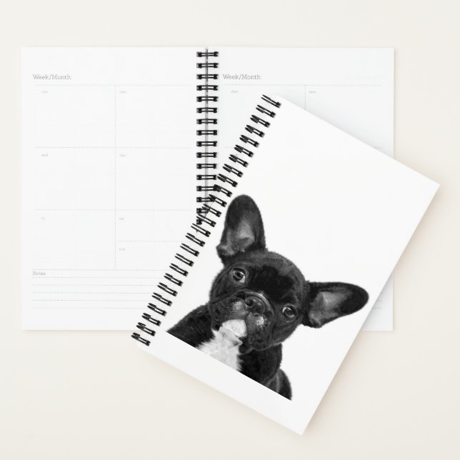Chien adorable | Black French Bulldog Face (Devant avec enveloppe)