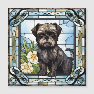 Chien Affenpinscher
