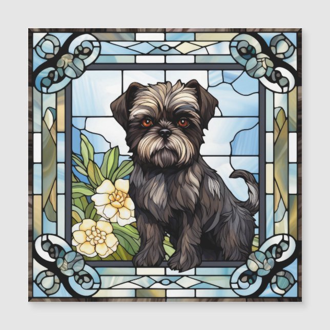 Chien Affenpinscher (Devant)