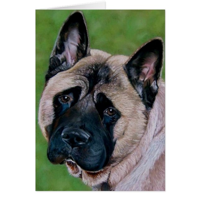 chien akita à visage noir (Devant)