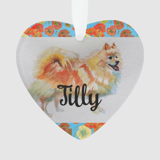 Chien allemand Spitz Pomeranian (devant)