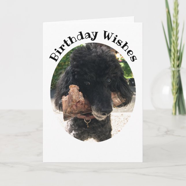 Chien amusant avec une carte d'anniversaire d'os (Devant)