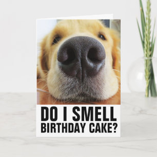 CHIEN AMUSANT FERMER LES CARTES D'ANNIVERSAIRE