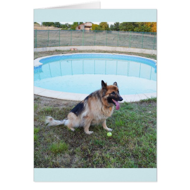Chien ange assis avec balle (Devant)