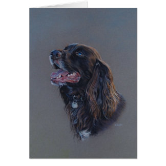 Chien anglais de cocker. Beaux-arts, carte vierge