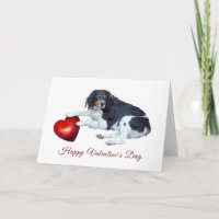 Chien avec carte de la Saint-Valentin de coeur