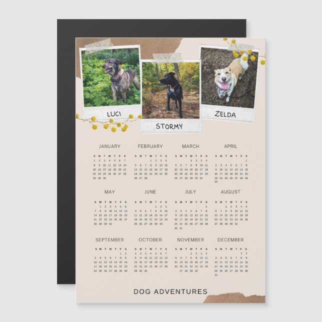 Chien Aventures mignon 2023 Calendrier magnétique (Devant / Derrière)