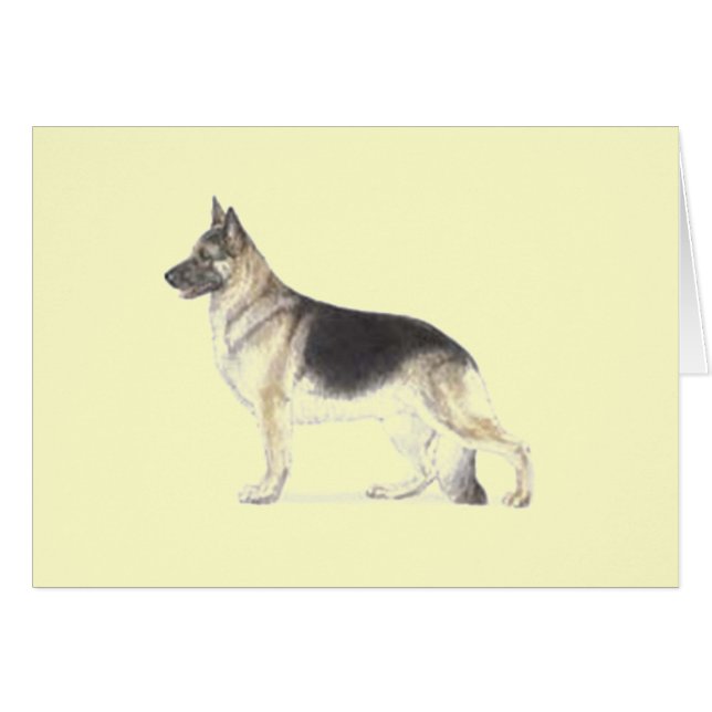 Chien berger allemand (Devant horizontal)