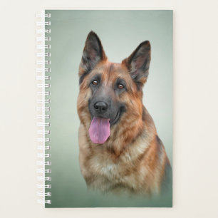 Chien berger allemand