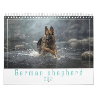 Chien berger allemand calendrier 2021.