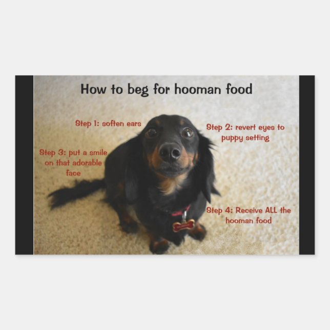 Chien Biscuit biscuit Traite Étiquette de jarre (Devant)