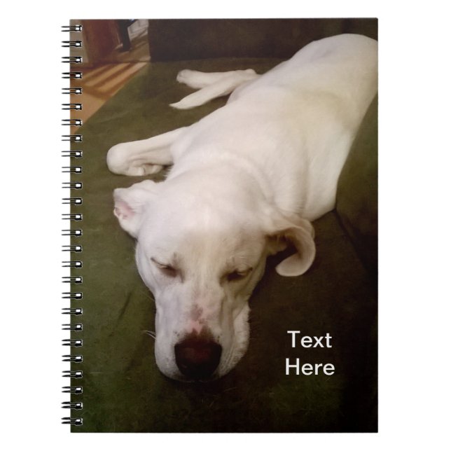Chien Blanc Endormi Cahier Vert (Devant)