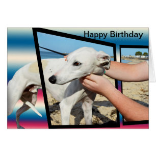 Chien blanc Whippet Dimensional Art, Carte Anniver