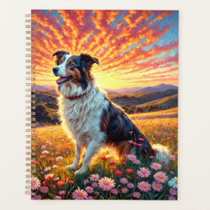 Chien Border Collie
